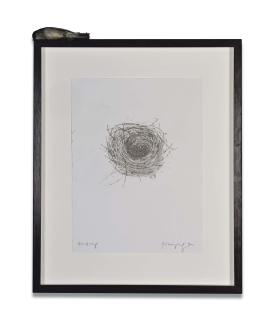 Polly Morgan - Blackcap