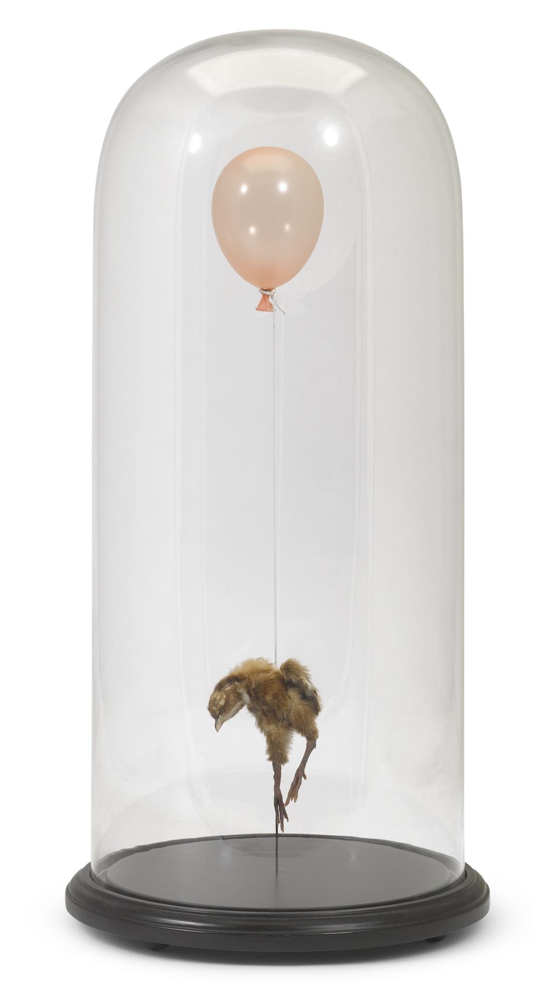 Polly Morgan - Still Birth (Pink)