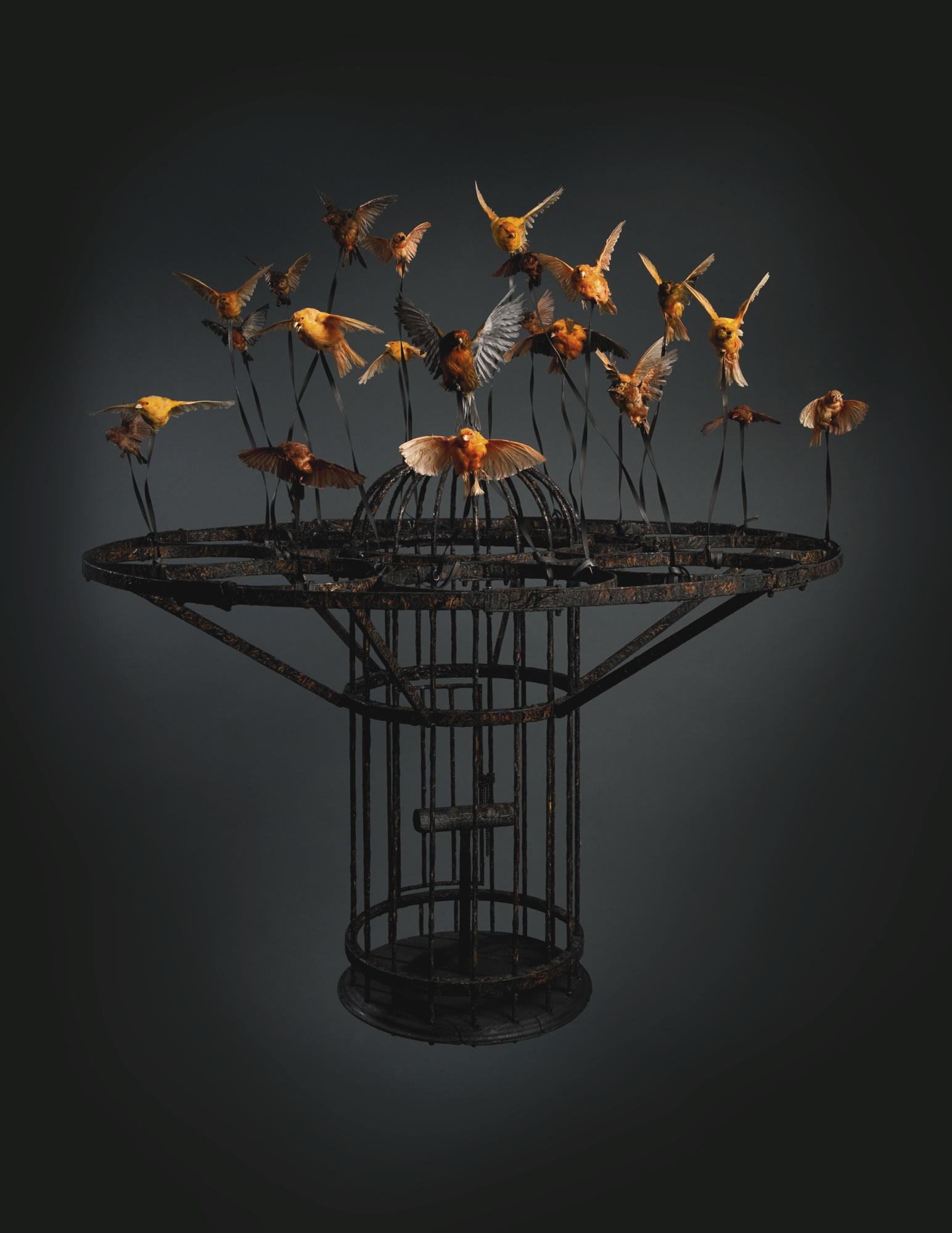 Polly Morgan - Systemic Inflammation