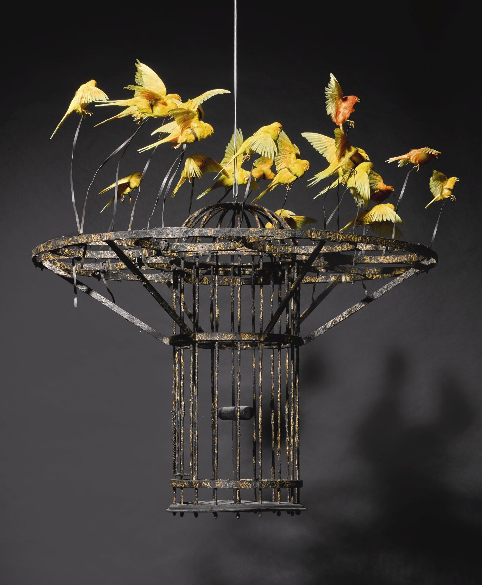 Polly Morgan - Systemic Inflammation