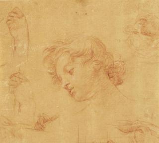 Pompeo Batoni - Tête de jeune garçon, études subsidiaires de mains et visage