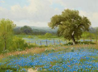 Porfirio Salinas - A Field Of Bluebonnets