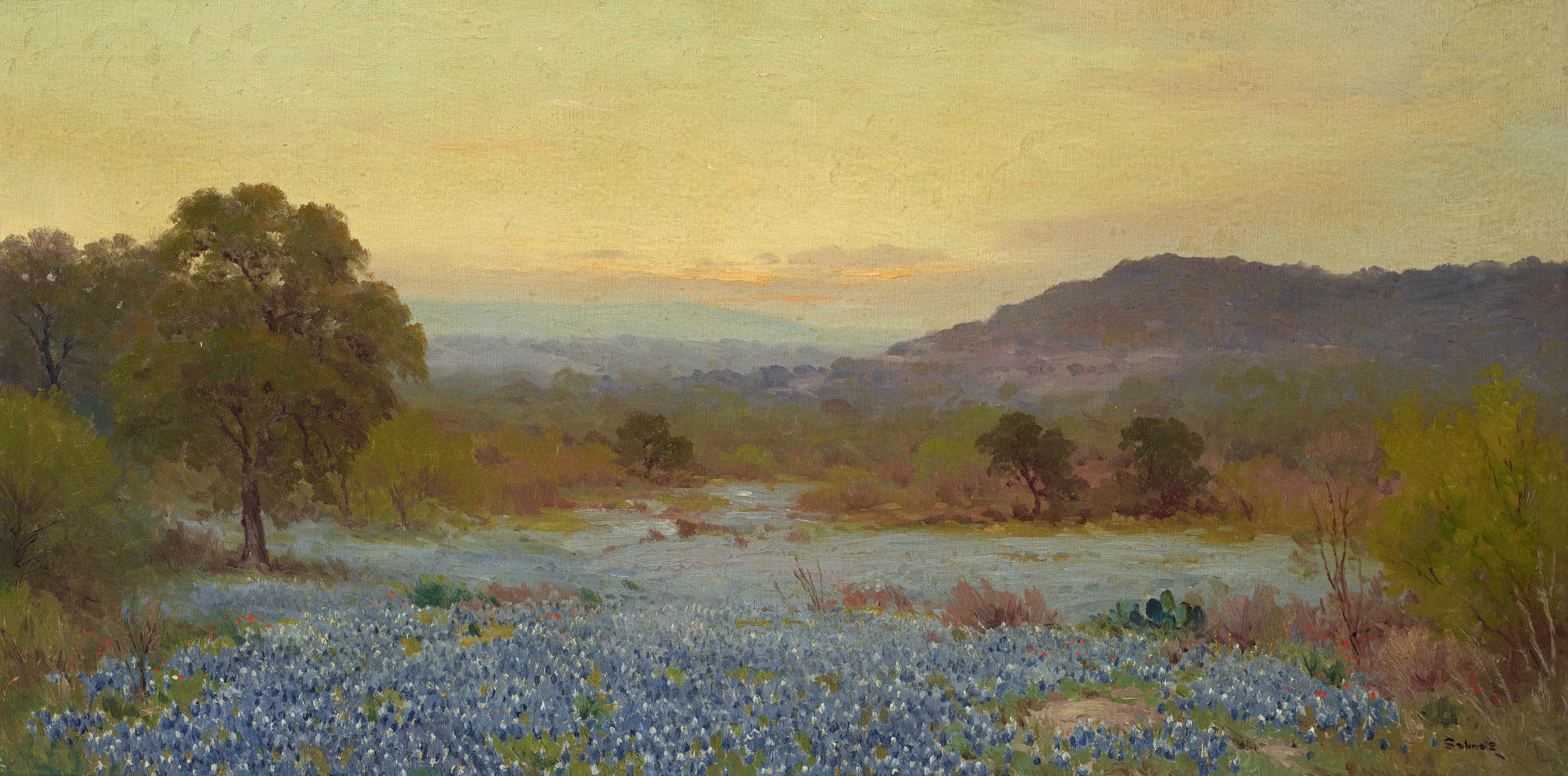 Porfirio Salinas - Bluebonnet Hill Country