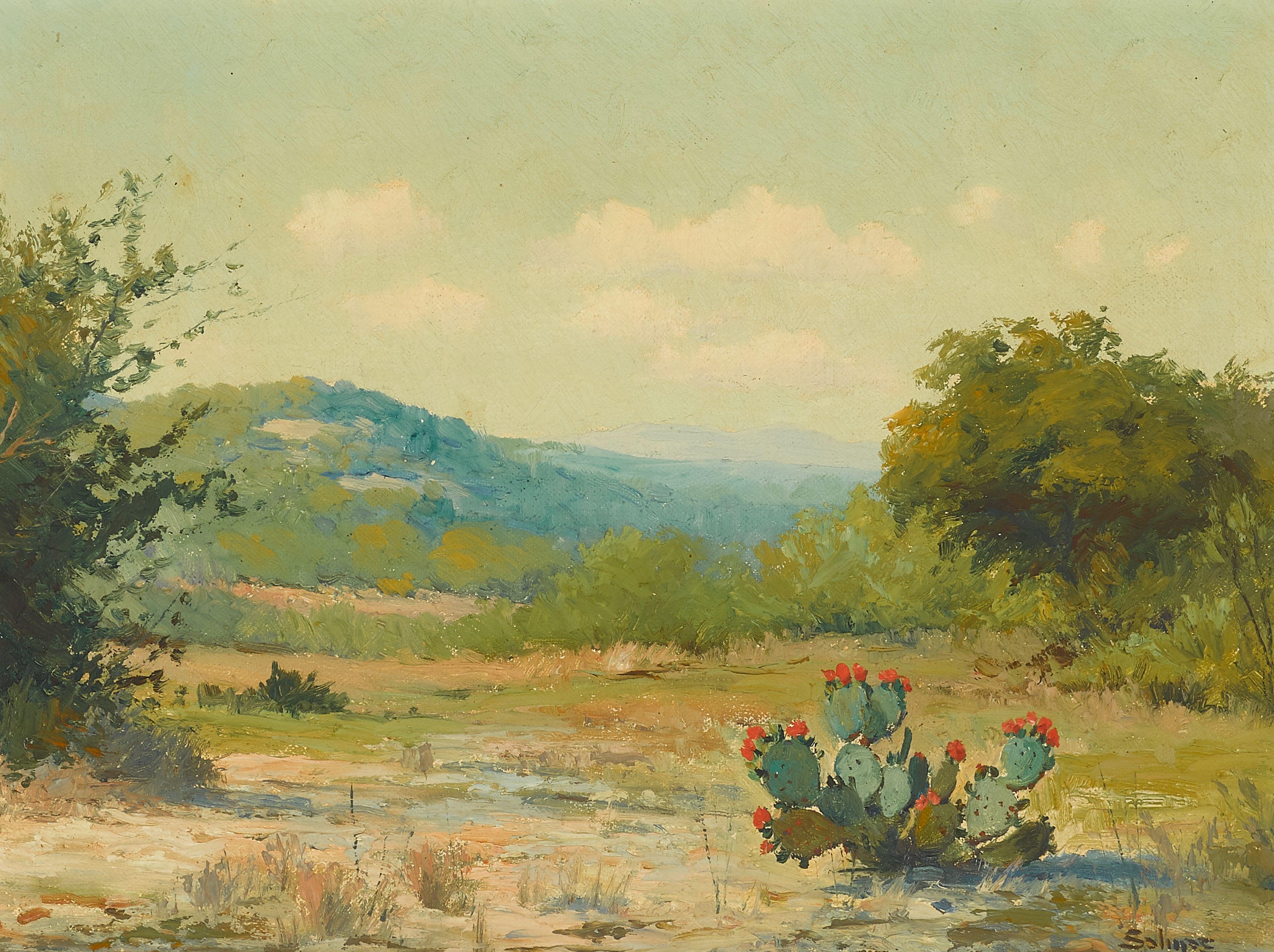 Porfirio Salinas - Cacti in Texas Hill Country