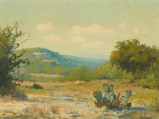 Porfirio Salinas - Cacti in Texas Hill Country