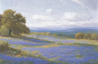 Porfirio Salinas - Texas Bluebonnets