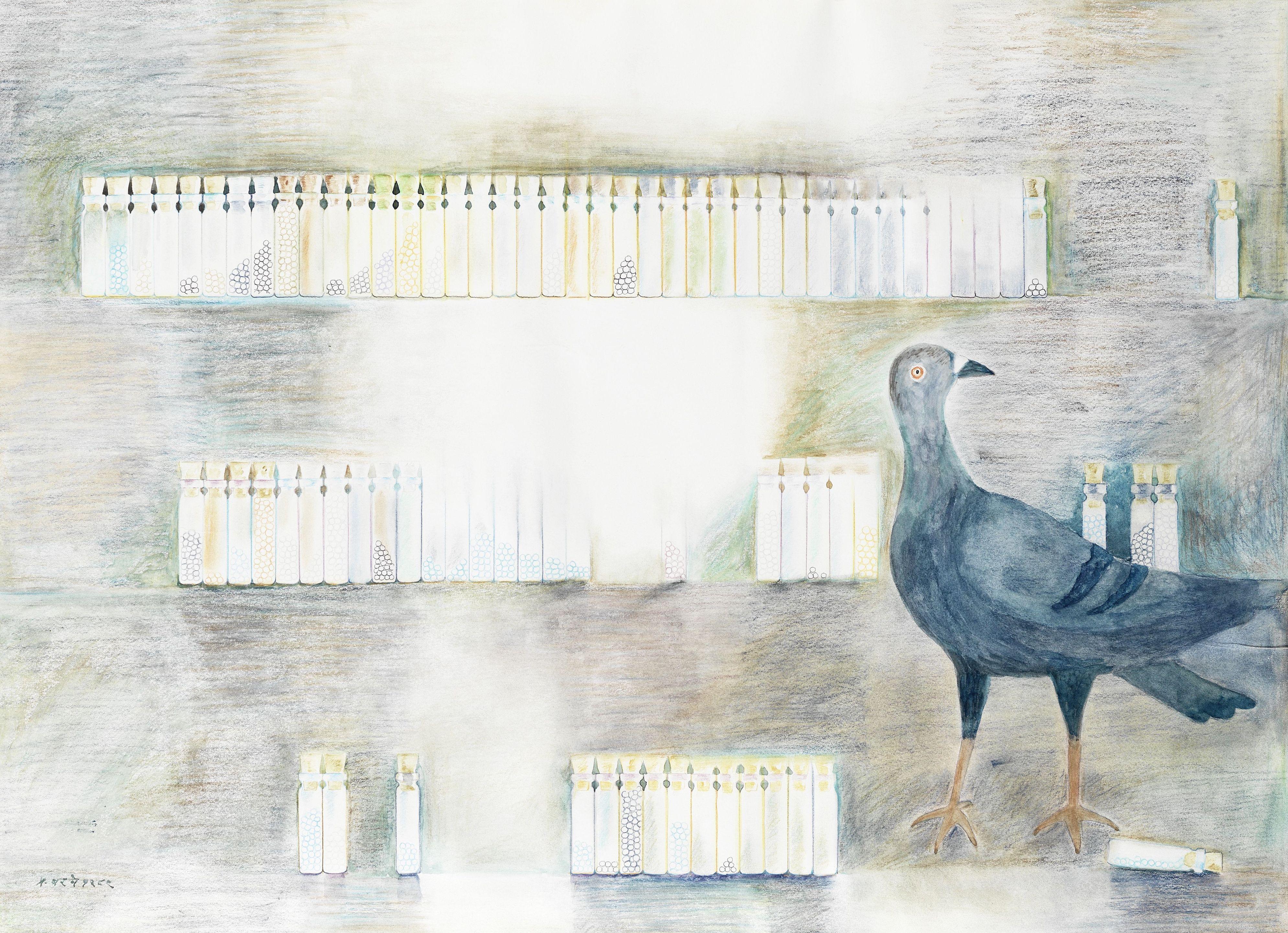 Prabhakar Barwe - Two Works On Paper (Fish And Bottles; Pigeons And Bottles)