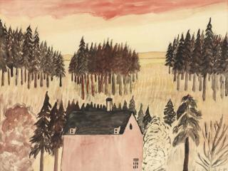 Primus Mortimer Pettersson - Hus vid Frösö sjukhus