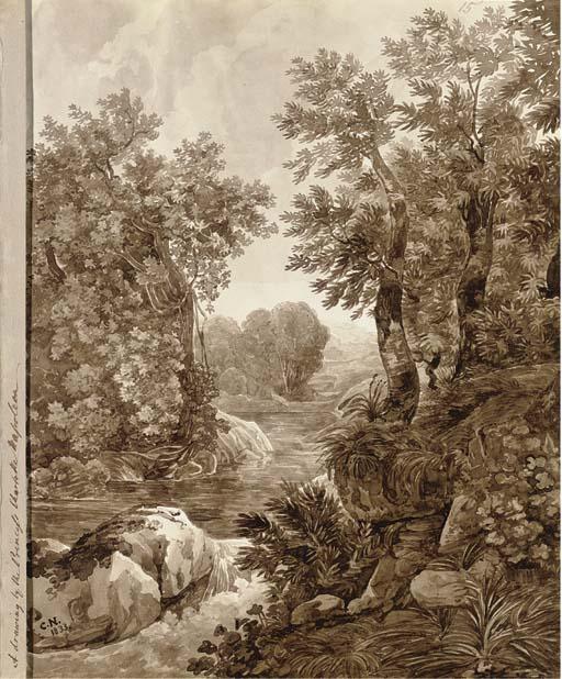Princess Charlotte Bonaparte - A river flowing through an overgrown valley