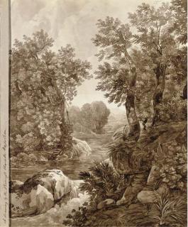 Princess Charlotte Bonaparte - A river flowing through an overgrown valley