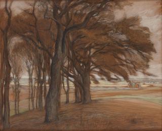 Prins Eugen - Trees in Torup, \