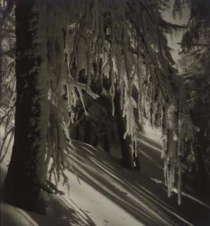 Professor Rudolf Koppitz - Selected images, 1920s