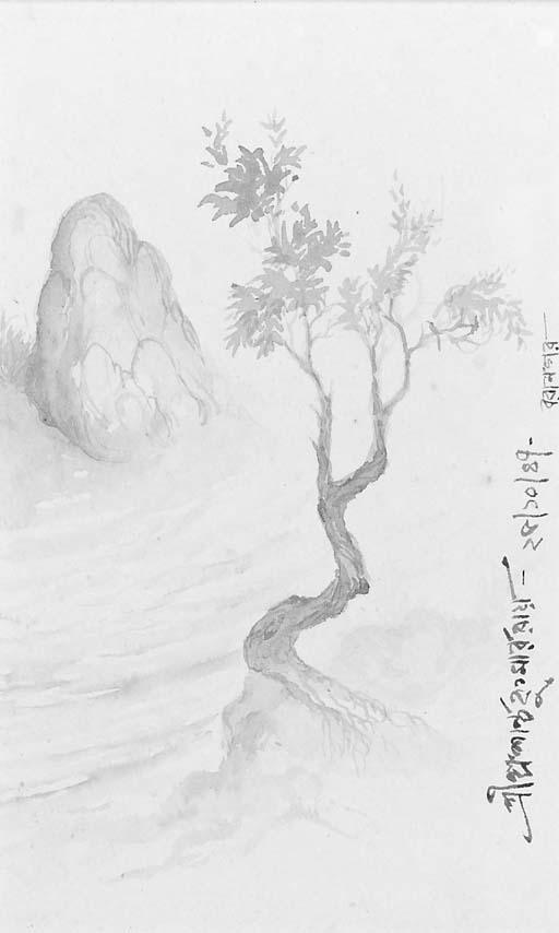 Prosanto Roy - Rock bird tree