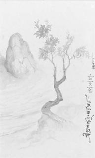 Prosanto Roy - Rock bird tree