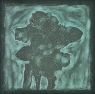 Prunella Clough - Plant