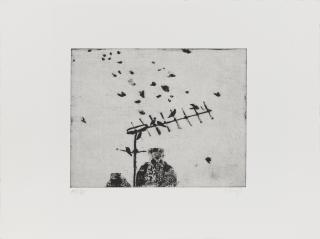 Prunella Clough - Starlings, From Nine London Birds
