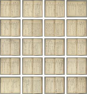 Pu Ru - Notes From Readings In Various Scripts