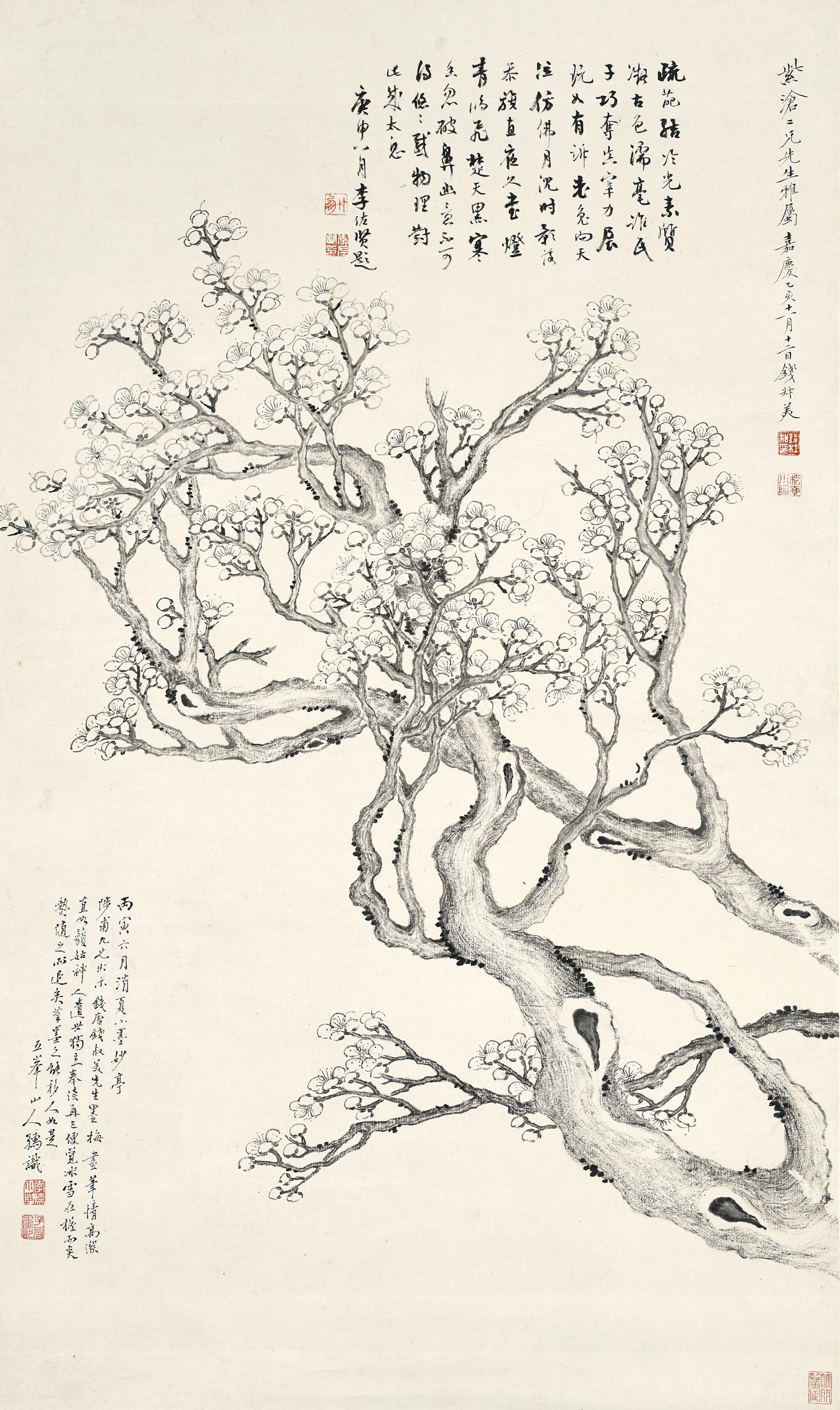 Qian Du - Plum Blossom