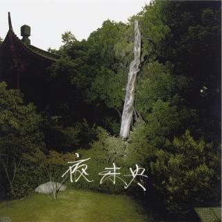 Qiu Zhijie - Forever Night-Green