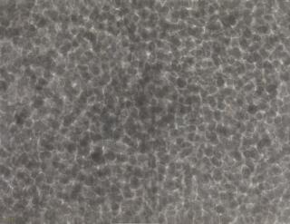 Quac Insik - Untitled