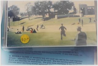 Rachel Harrison - $20