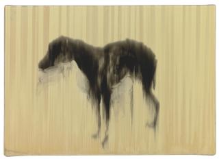 Rachel Howard - Black Dog