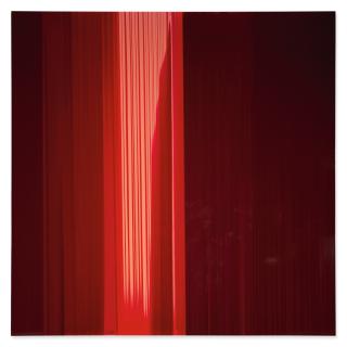 Rachel Howard - Vena Puncture