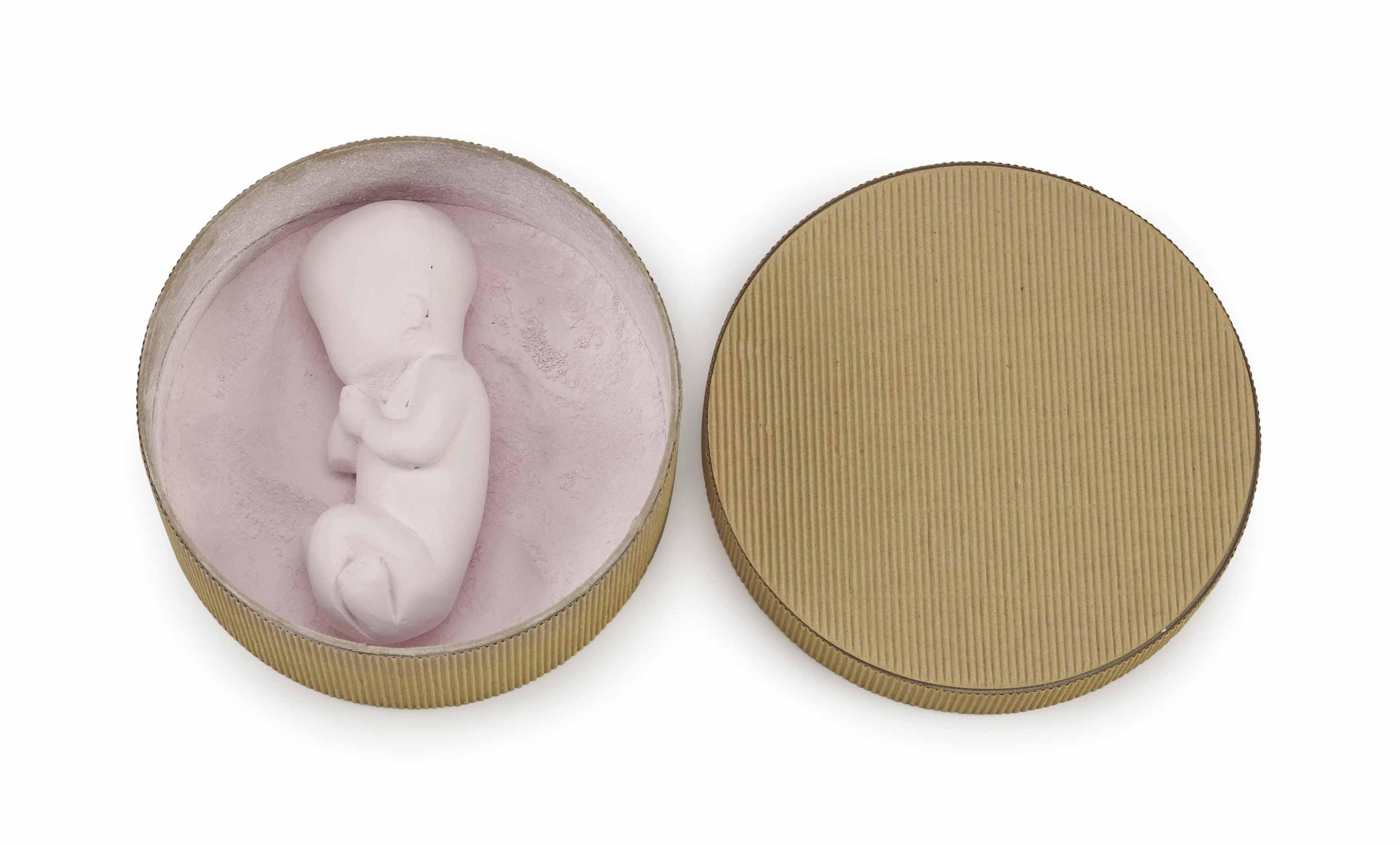 Rachel Lachowicz - Pink Fetus