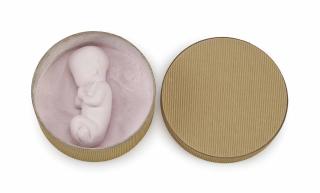 Rachel Lachowicz - Pink Fetus