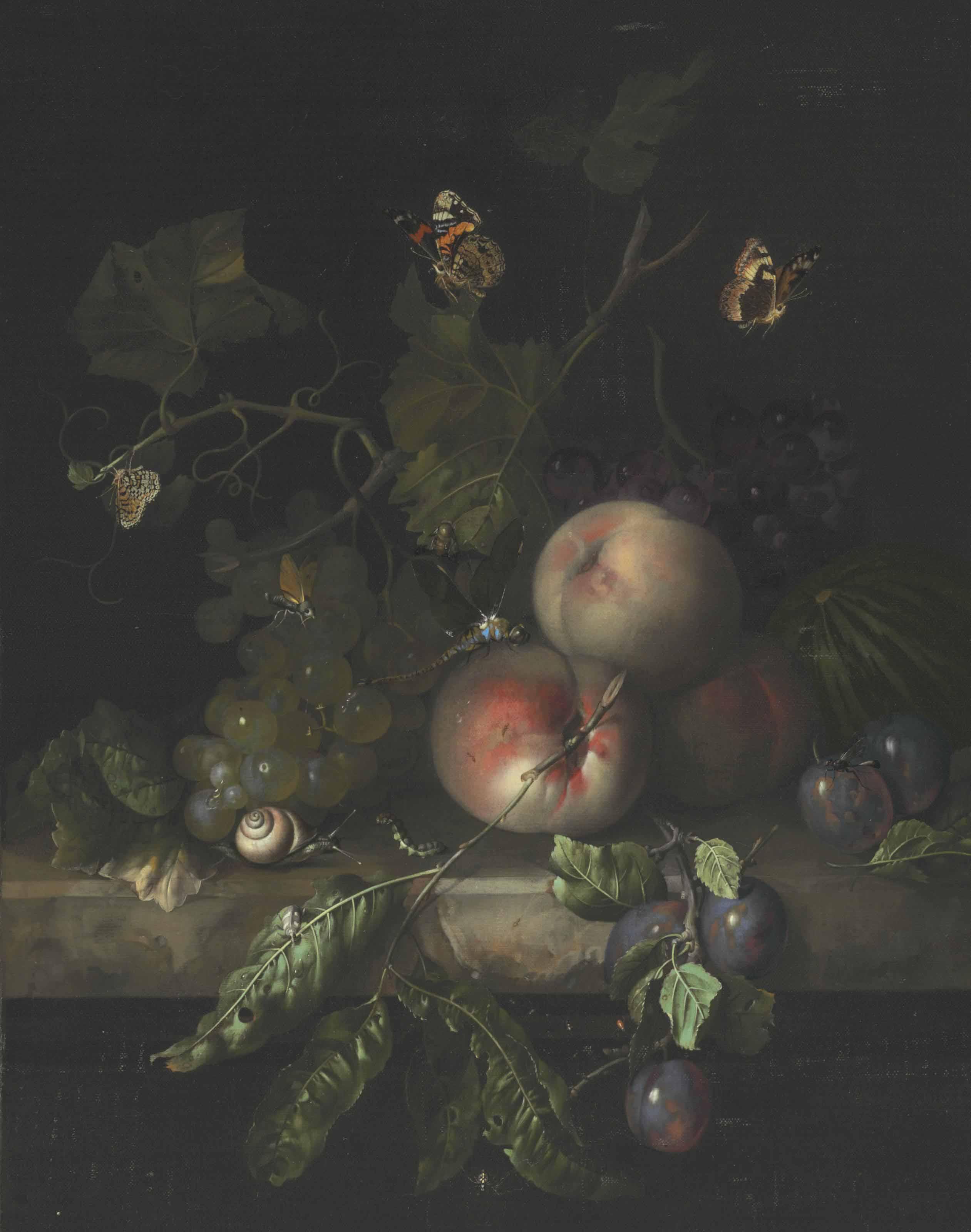 Rachel Ruysch - Peaches, Grapes, And Plums With A Dragonfly, Snail, Caterpillar, Moths, And Other Insects On A Stone Ledge