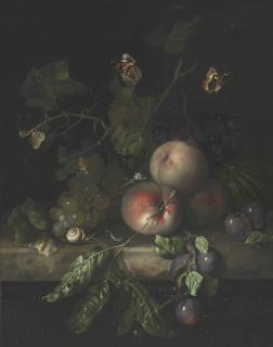 Rachel Ruysch - Peaches, Grapes, And Plums With A Dragonfly, Snail, Caterpillar, Moths, And Other Insects On A Stone Ledge