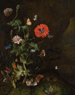 Rachel Ruysch - Still Life Of A Thistle Between Carnations And Cornflowers On A Mossy Forest Floor, With Butterflies And A Cricket