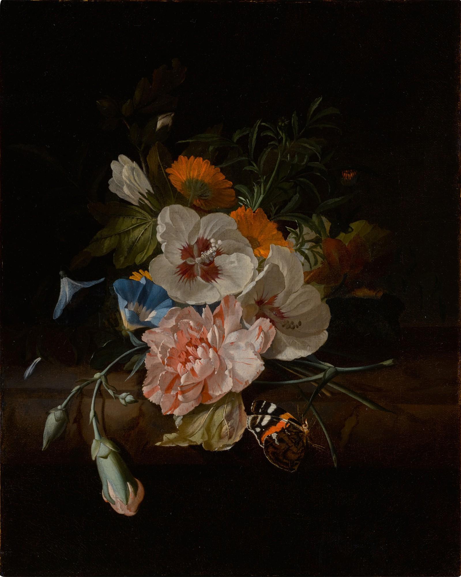 Rachel Ruysch - Still life of carnations, hibiscus, morning glories, and other other flowers on a ledge, with a butterfly