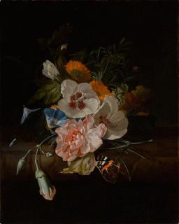 Rachel Ruysch - Still life of carnations, hibiscus, morning glories, and other other flowers on a ledge, with a butterfly