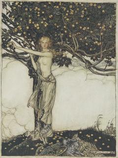 Rackham, Arthur - A Collection Of Seventeen Limited Edition Illustrated Books, Comprising: