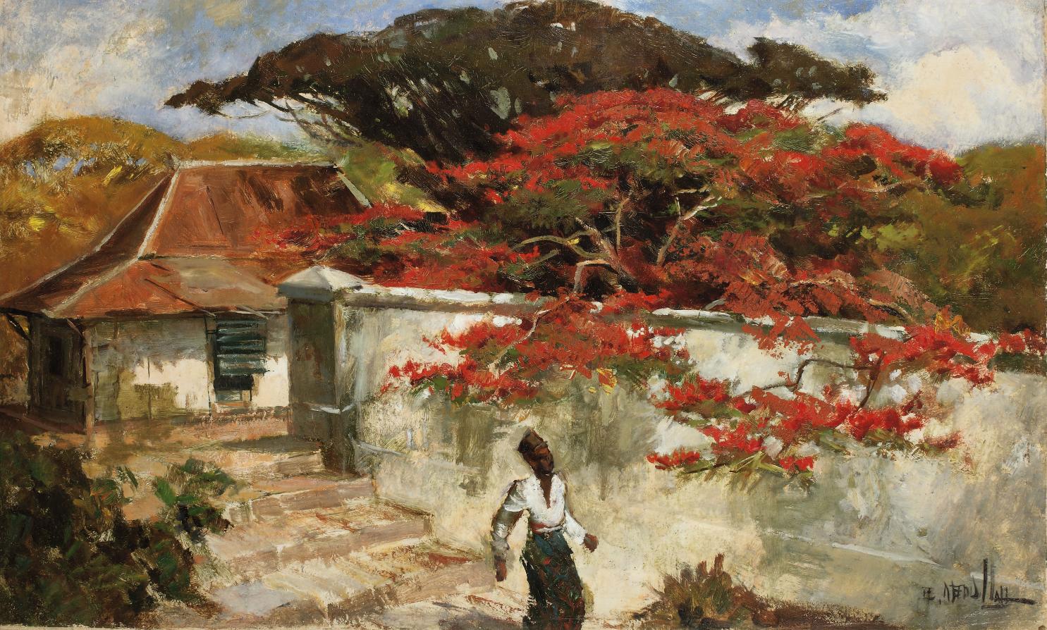 Raden Basouki Abdullah - A man under a flamboyant tree