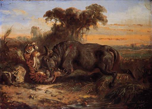 Raden Sarief Bustaman Saleh - Combat between a buffalo and tiger