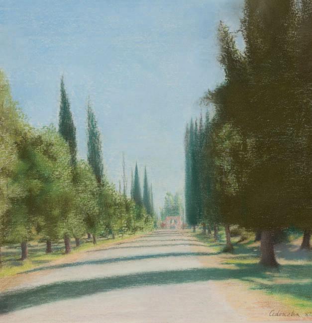 Rafael Cidoncha - Allée de cyprès