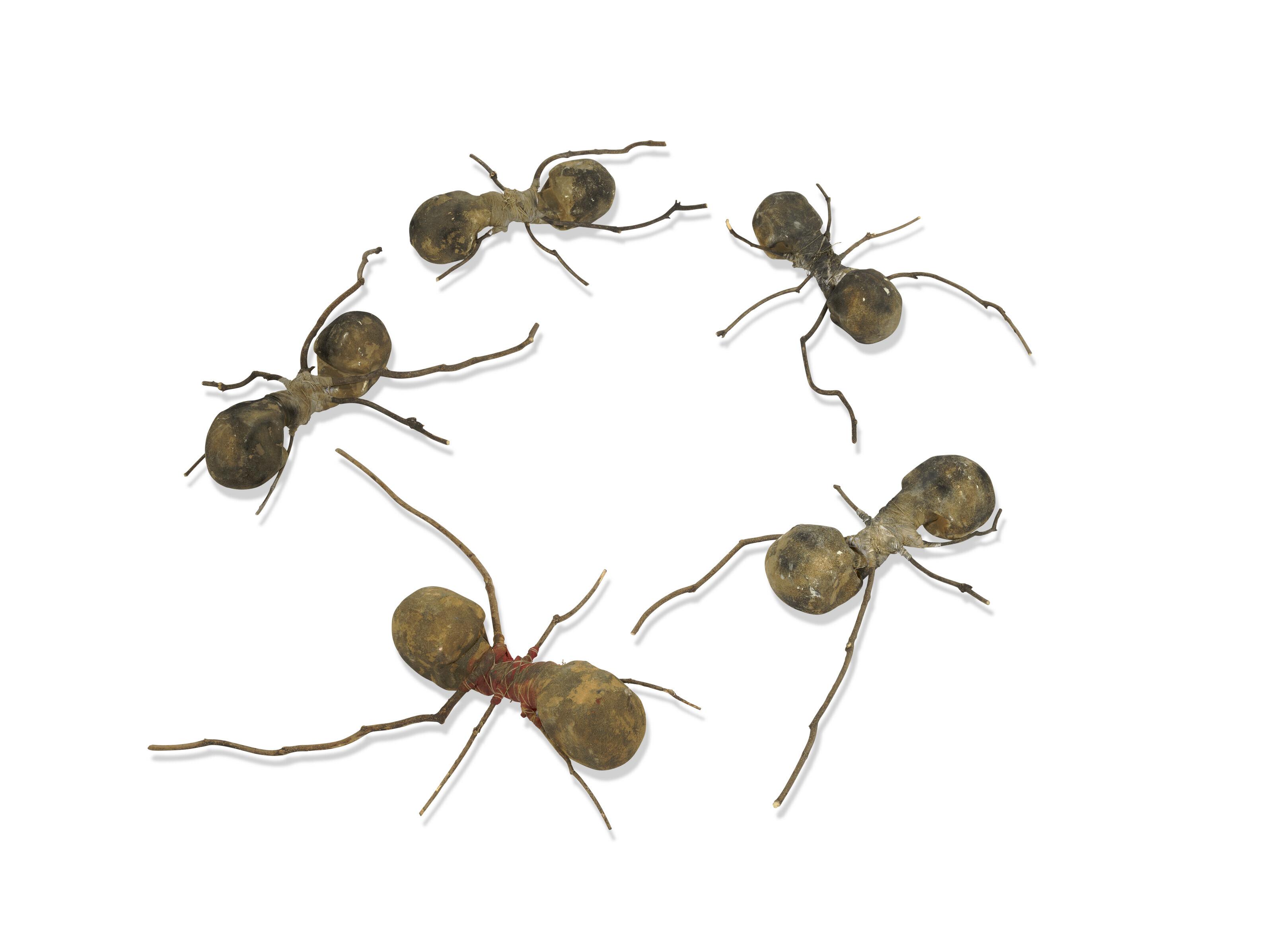 Rafael Gómezbarros - Casa Tomada (House Taken Over)