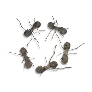 Rafael Gómezbarros - Casa Tomada (House Taken Over)