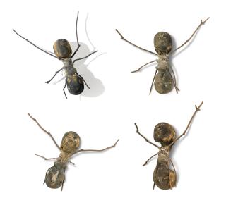 Rafael Gomezbarros - Casa Tomada (House Taken Over)