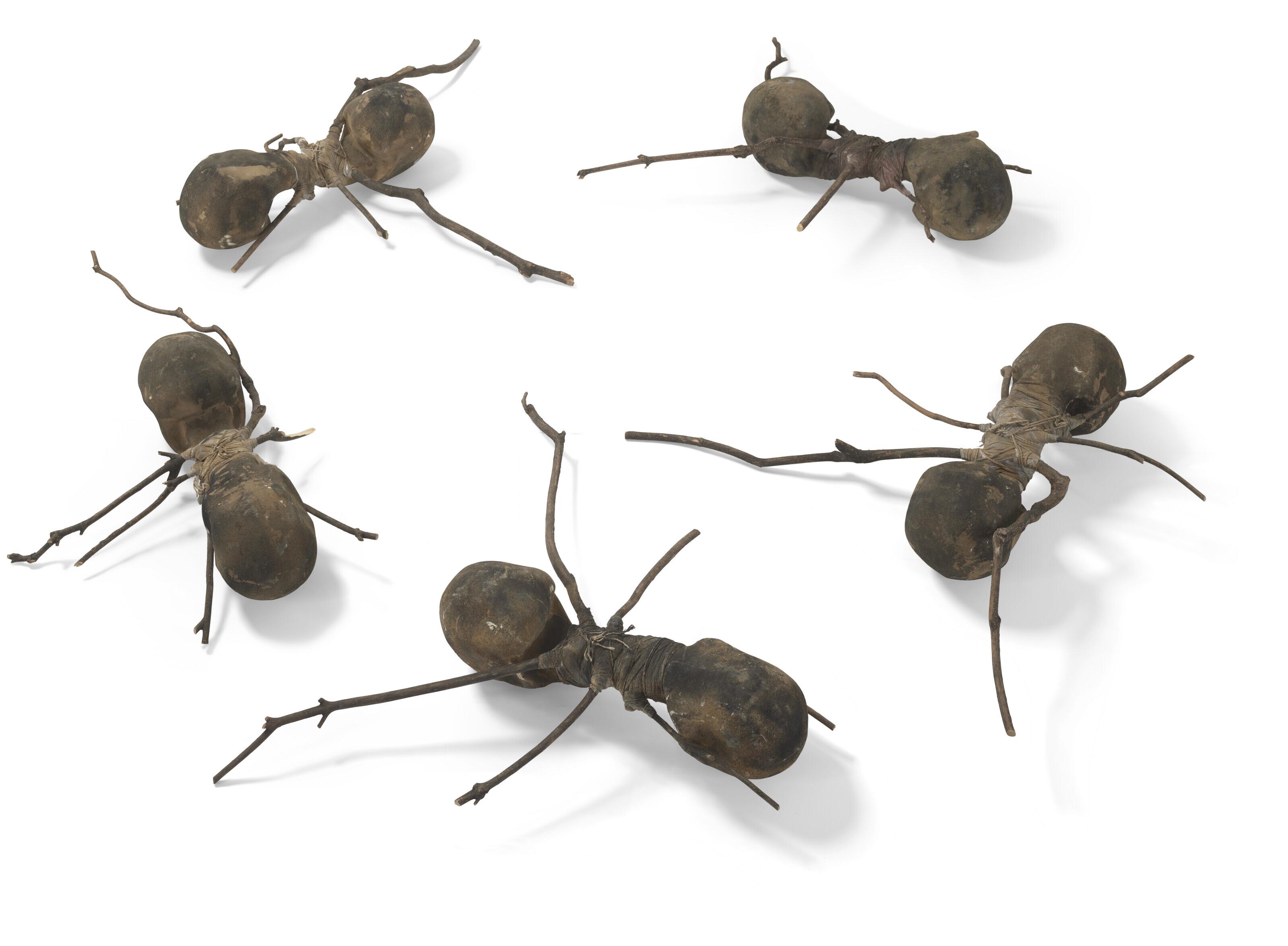 Rafael Gómezbarros - Casa Tomada (House Taken)