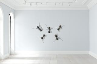 Rafael Gomezbarros - Casa Tomada