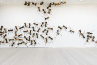 Rafael Gomezbarros - Casa Tomada