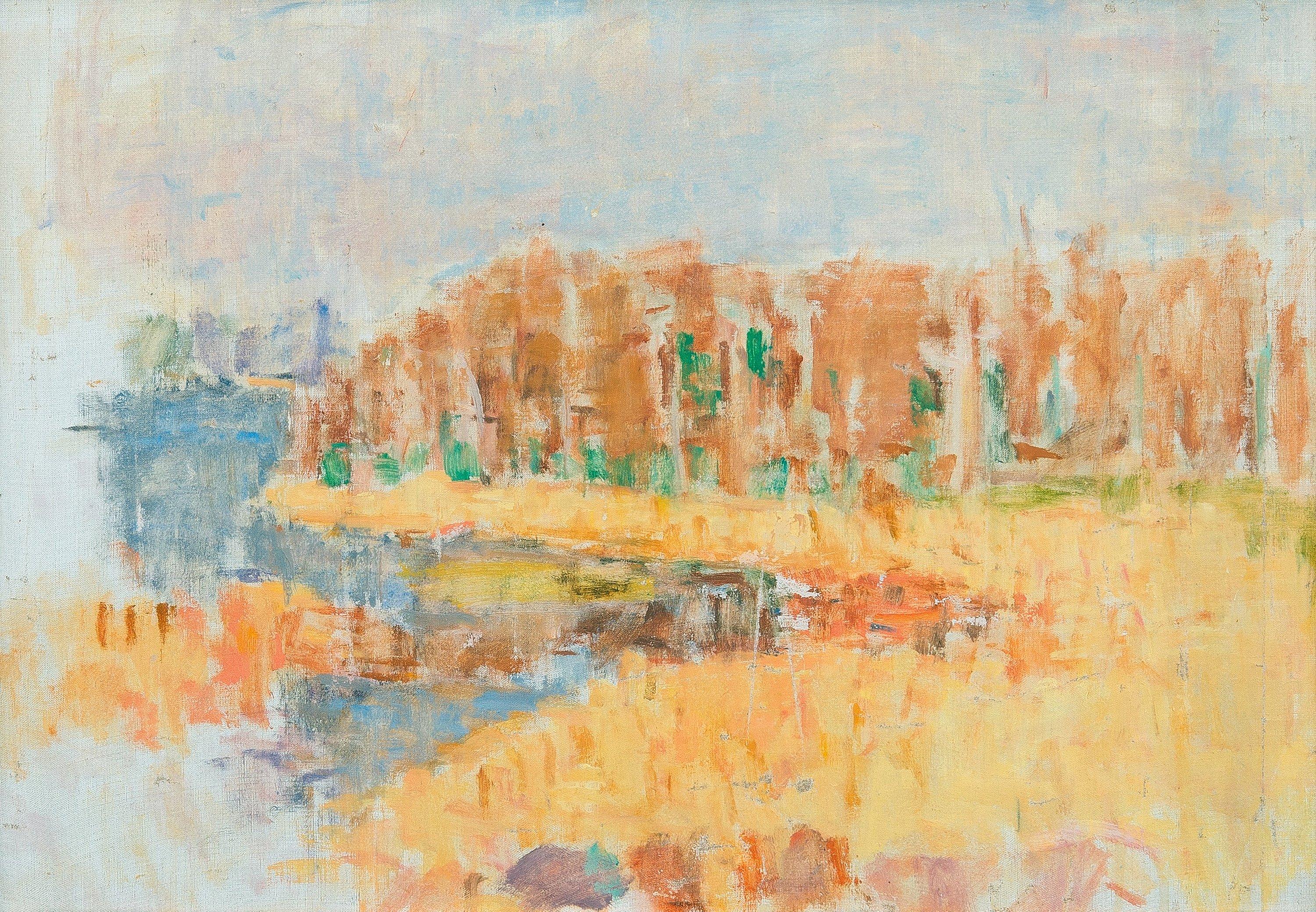 Rafael Wardi - Landscape.