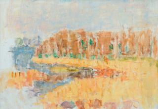 Rafael Wardi - Landscape.