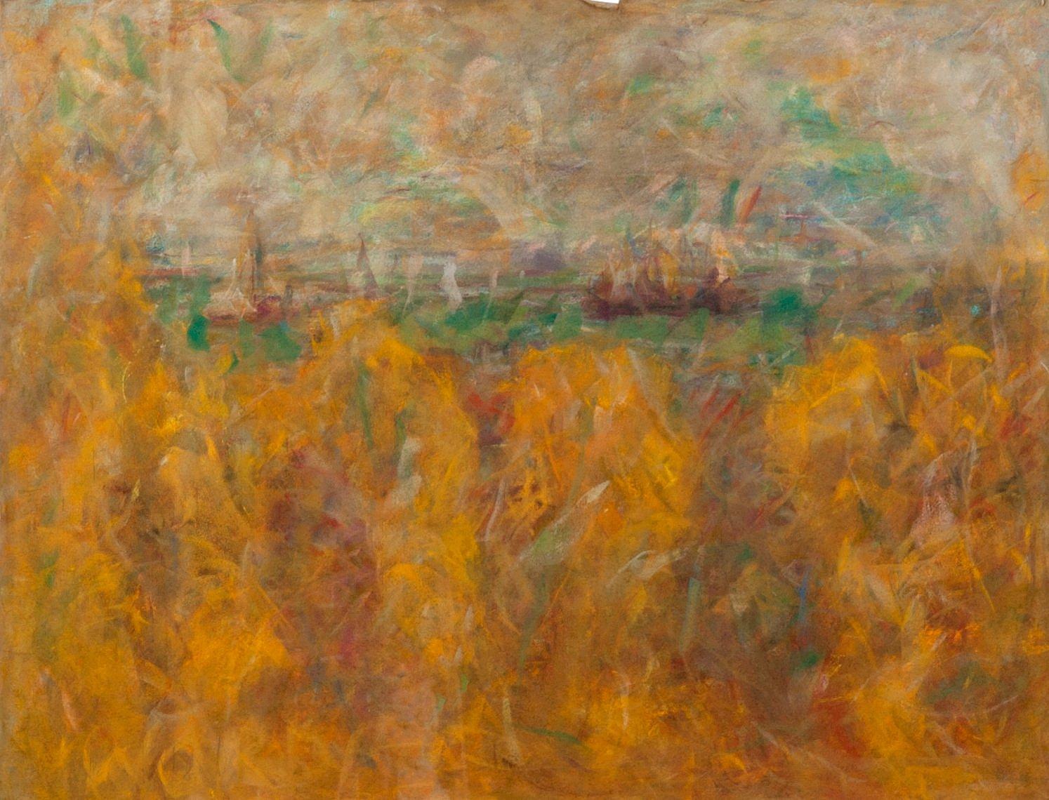 Rafael Wardi - Regatta.