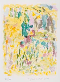 Rafael Wardi - Summer Light