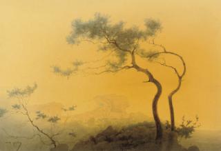 Raffaelle Mainella - View from above Capri