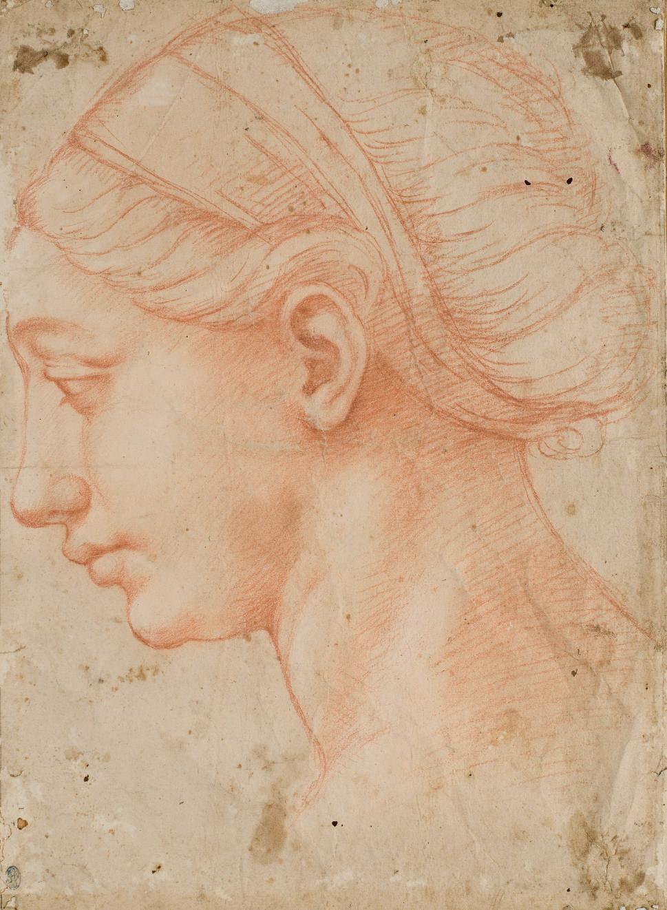 Raffaellino Del Colle - Tête De Femme